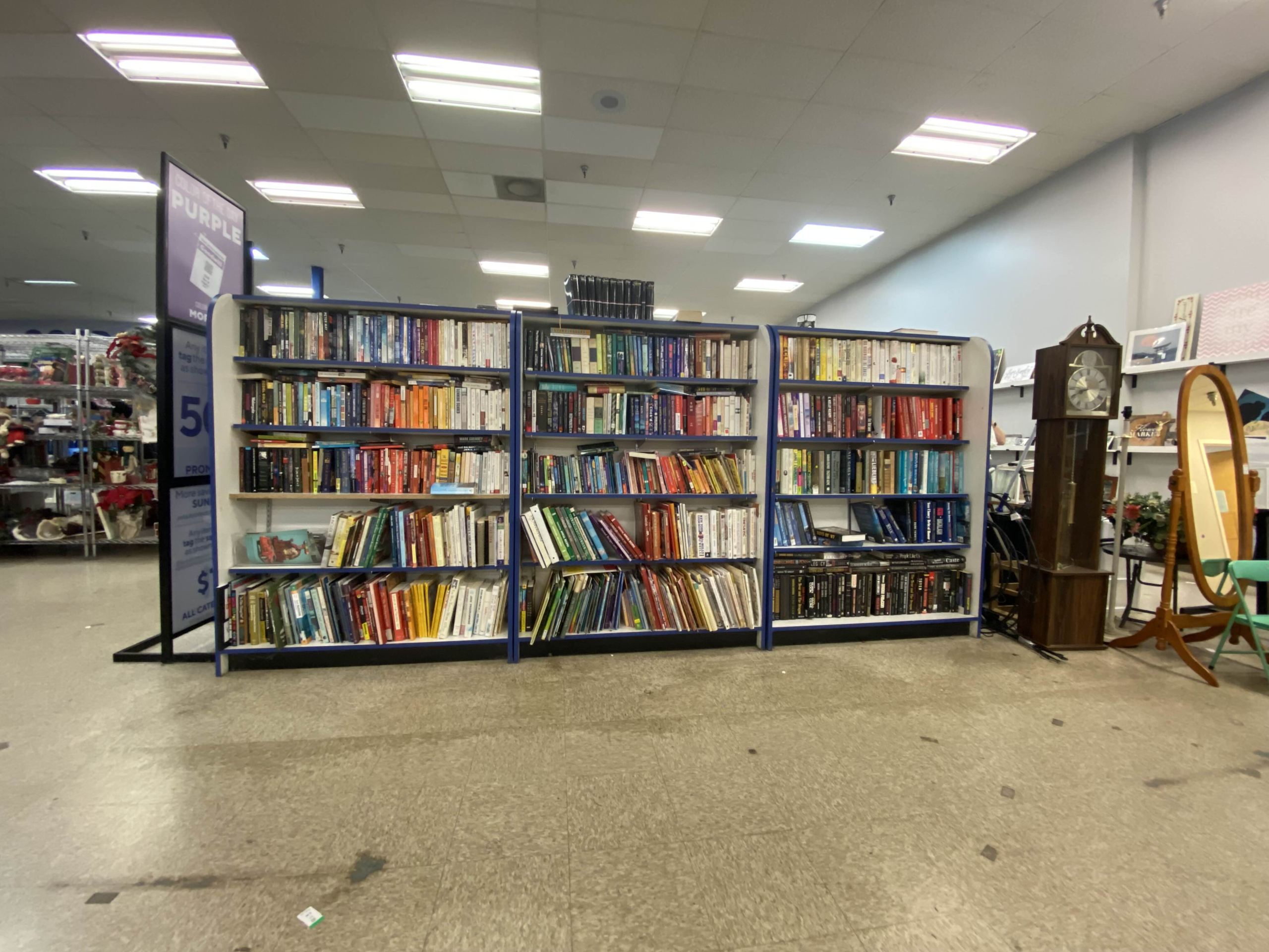 The Colorful Bookcase